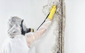 Best Residential Mold Inspection & Testing  in Bloomingburg, OH